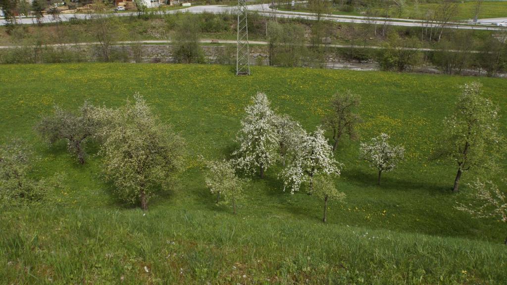 Haus Peter Schiestl Apartment Цел ам Цилер Екстериор снимка